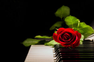 photodune-10739537-red-rose-and-piano-s